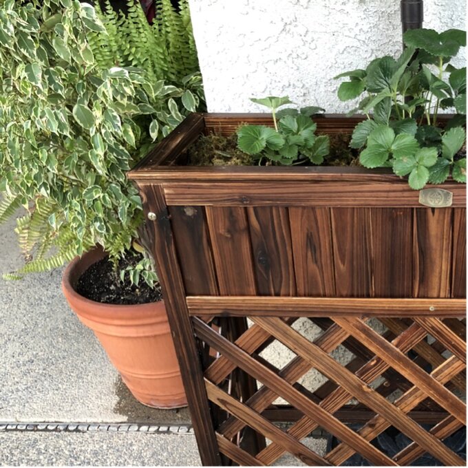 【Home&Garden】Peyton Wood Elevated Planter