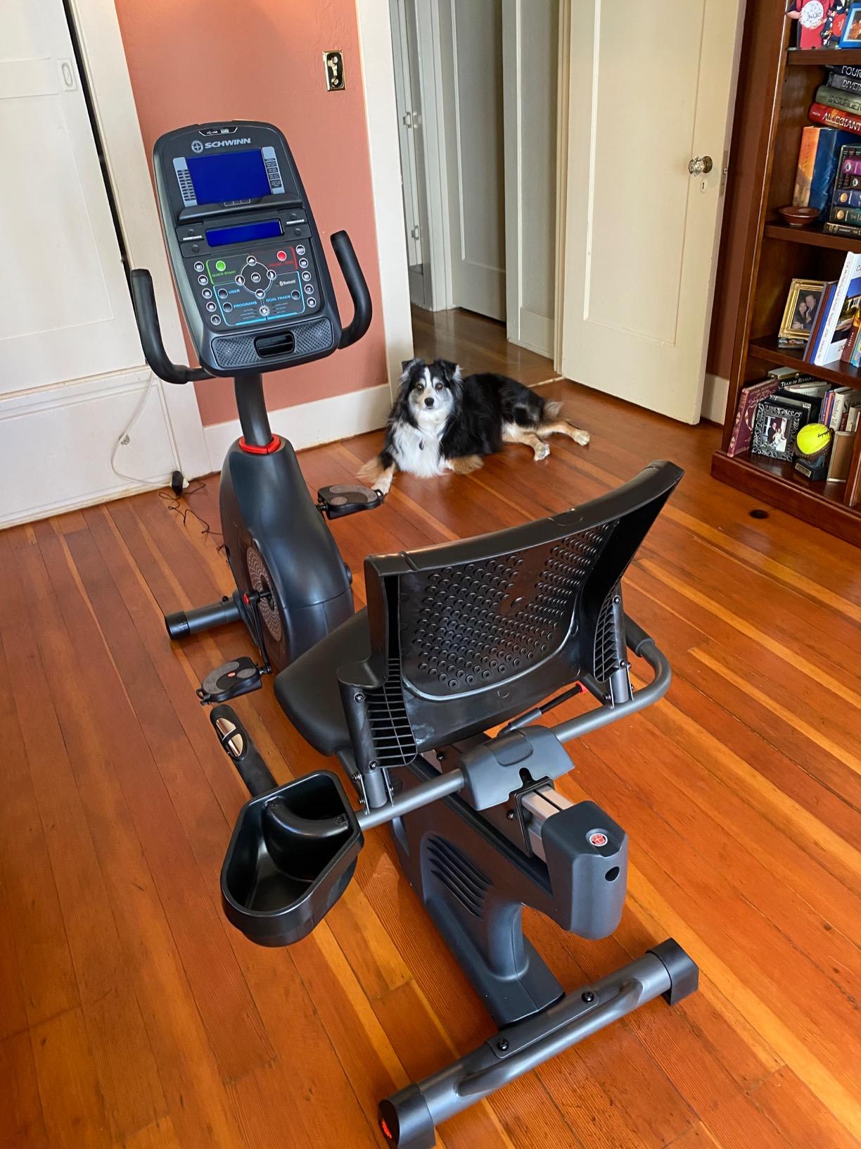 【Sports&Outdoors】Schwinn Recumbent Bike Series