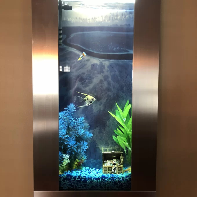 【Pet】Angelica 4 Gallon Rectangle Aquarium Tank