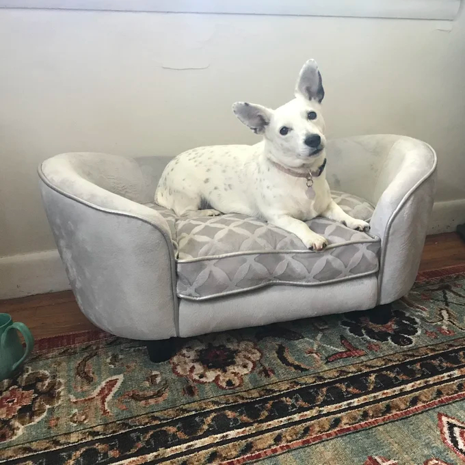 【Pet】Lola Dog Sofa