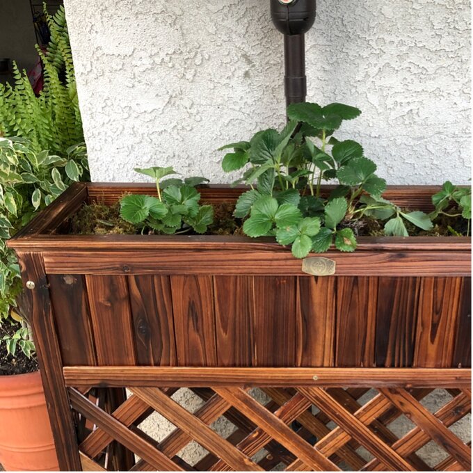 【Home&Garden】Peyton Wood Elevated Planter