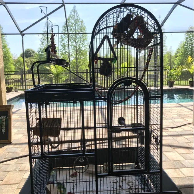 【Pet】Nickelson 66'' Steel Play Top Floor Bird Cage with Wheels