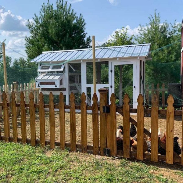 【Pet】Outdoor Chicken Coop