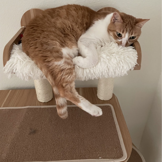 【Pet】47 Wooden Luxury Cat Tree