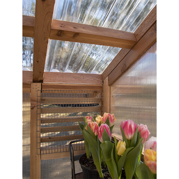 【Home&Garden】Solar Energy Garden Greenhouse