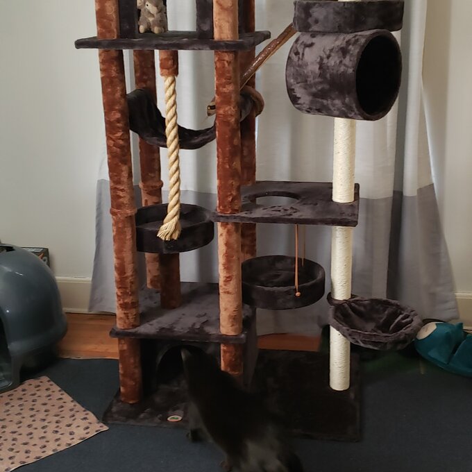 【Pet】70 High Cat Tree