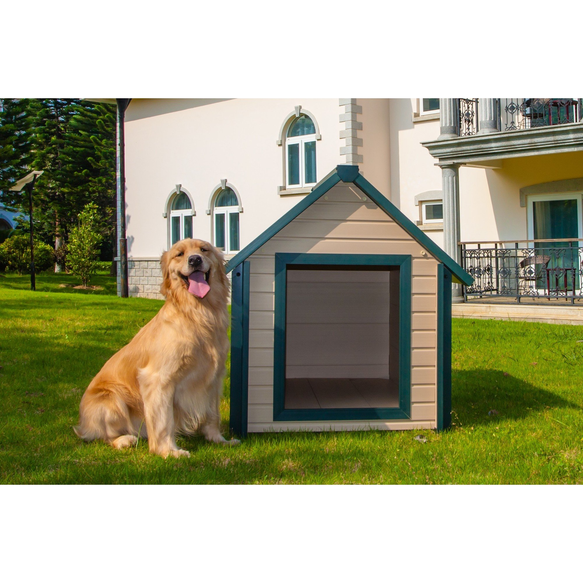 【Pet】Bunk Style Dog House