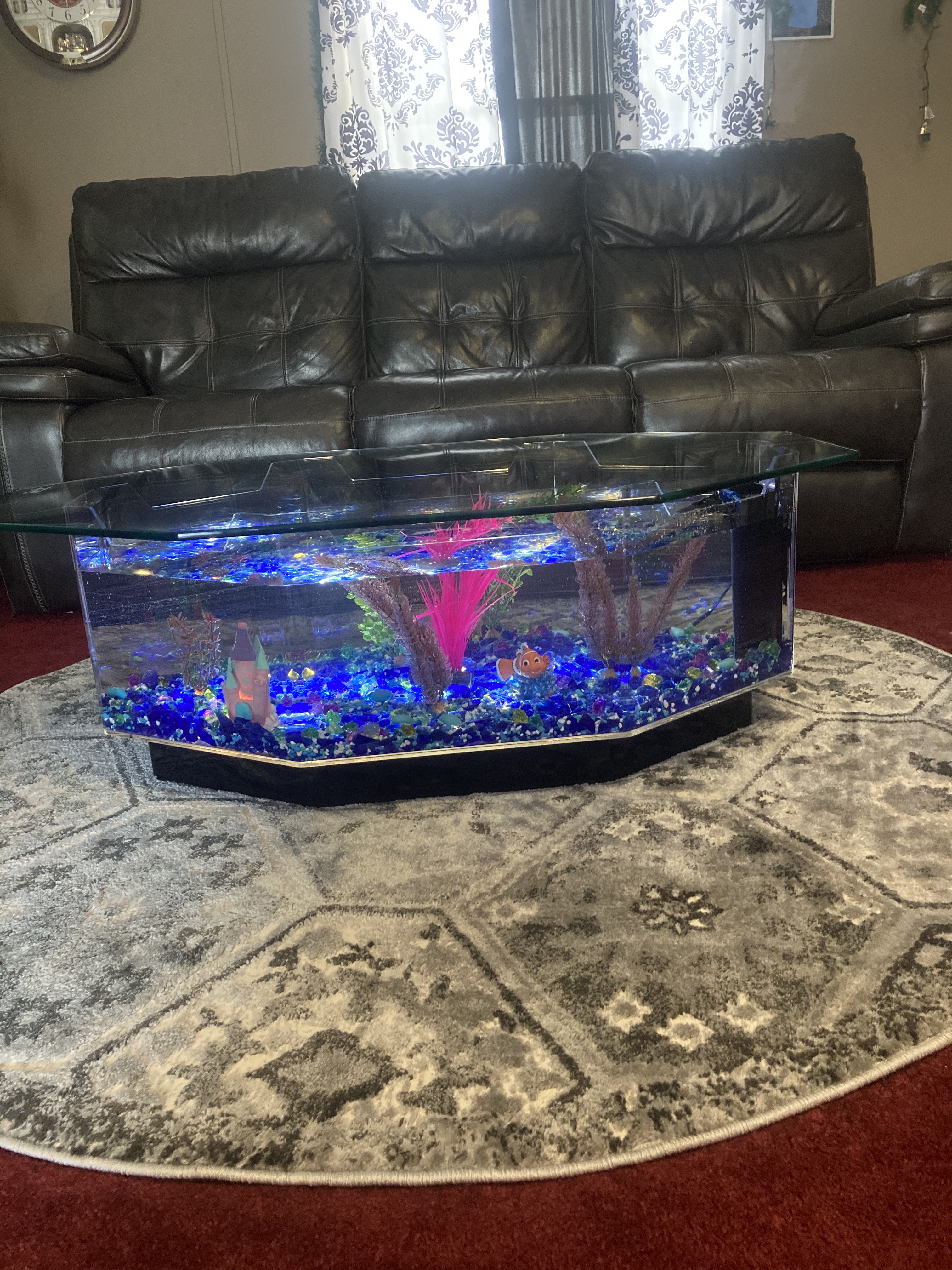 【Pet】28 Gallon AquaTable Aquarium Octagon