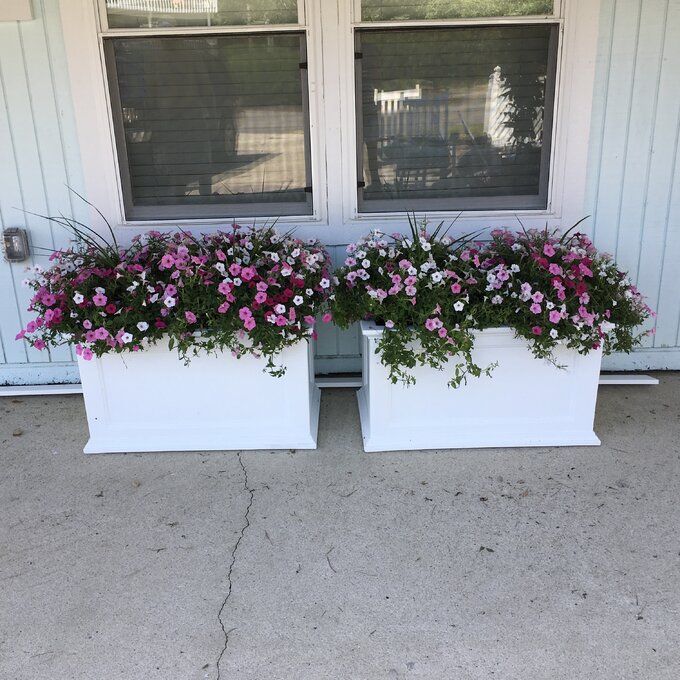 【Home&Garden】Anastasiya Self Watering Plastic Planter Box