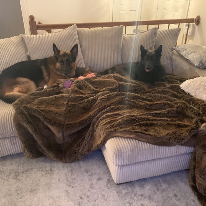 【Furniture】Luxe 2 - Piece Upholstered Chaise Sectional