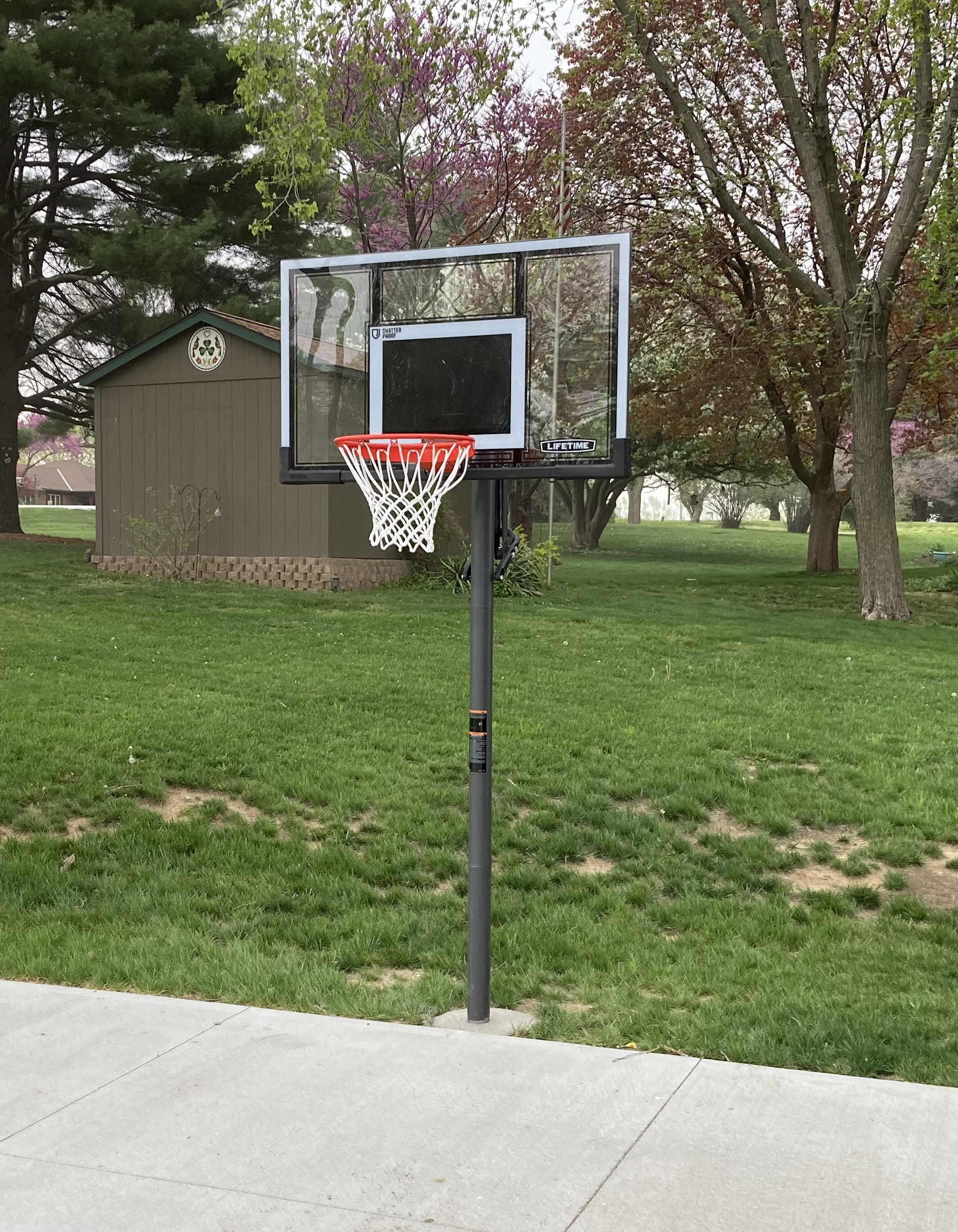 【Sports&Outdoors】Lifetime Adjustable Basketball Hoop