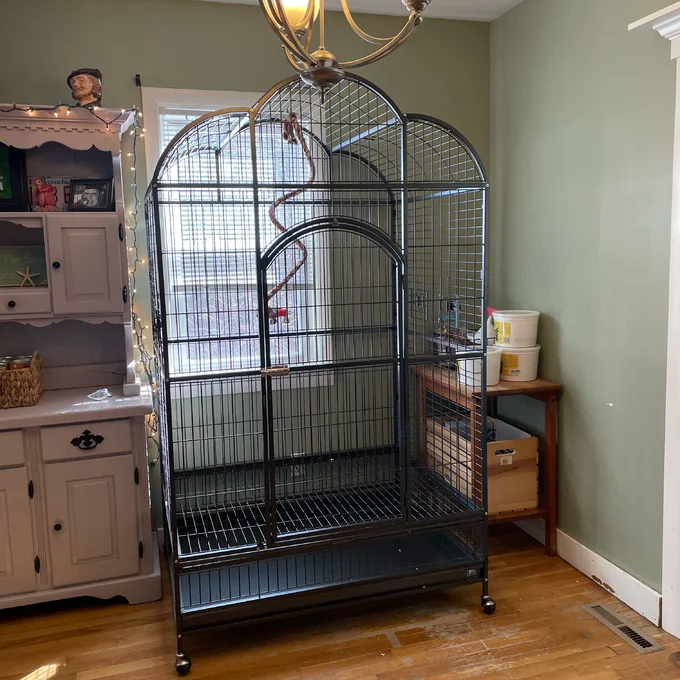 【Pet】Backes 78.25'' Steel Victorian Top Floor Bird Cage with Wheels
