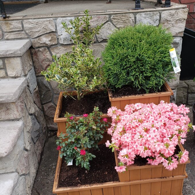 【Home&Garden】Gordonsville 2.5x2.5 ft Wood Raised Garden Bed