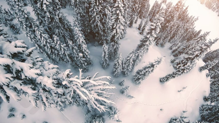 【Sports&Outdoors】System Timeless and Summit Complete Men's Snowboard Package New 2023