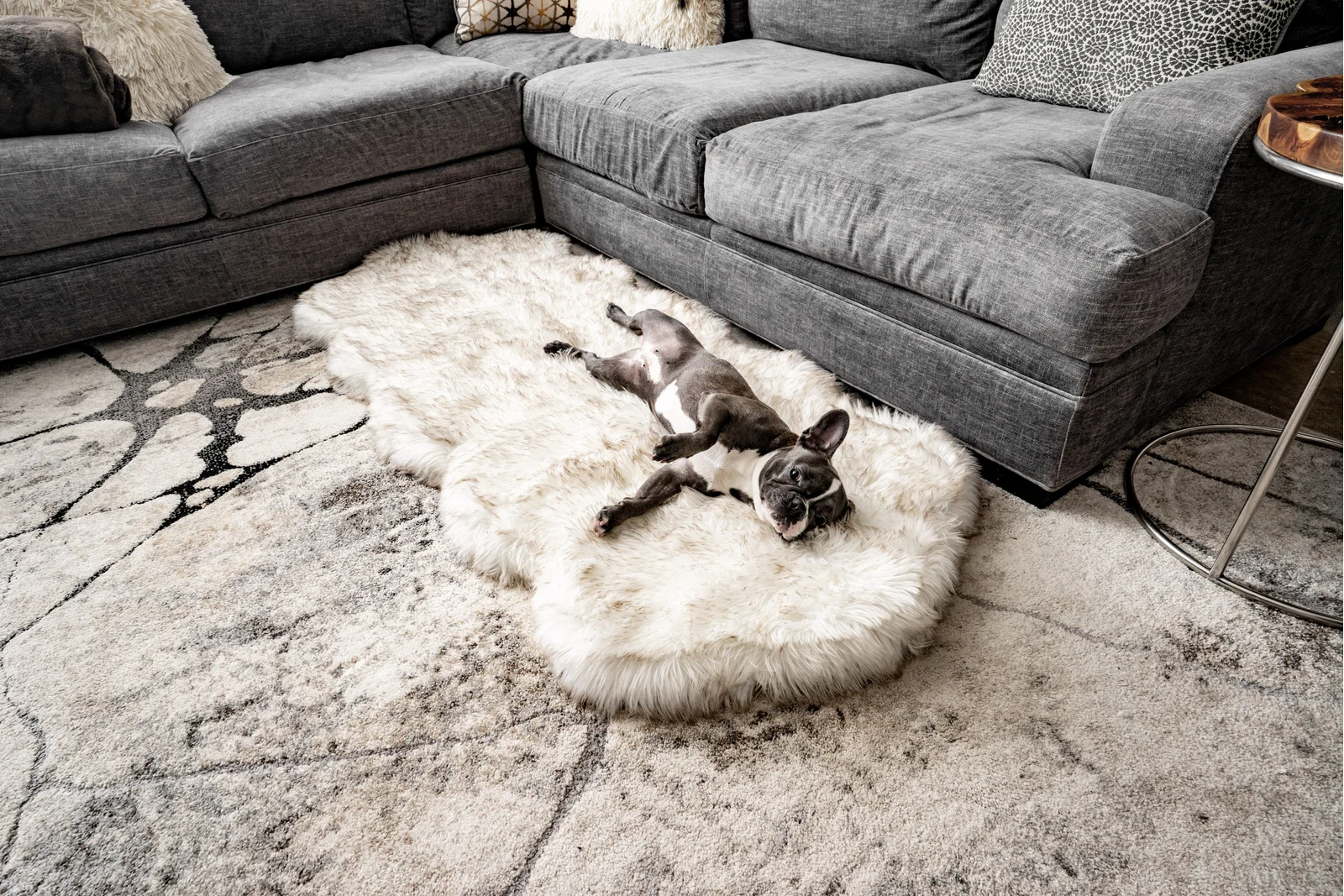 【Pet】Pretor Puprug Runner Faux Fur Memory Foam Dog Curve Mat