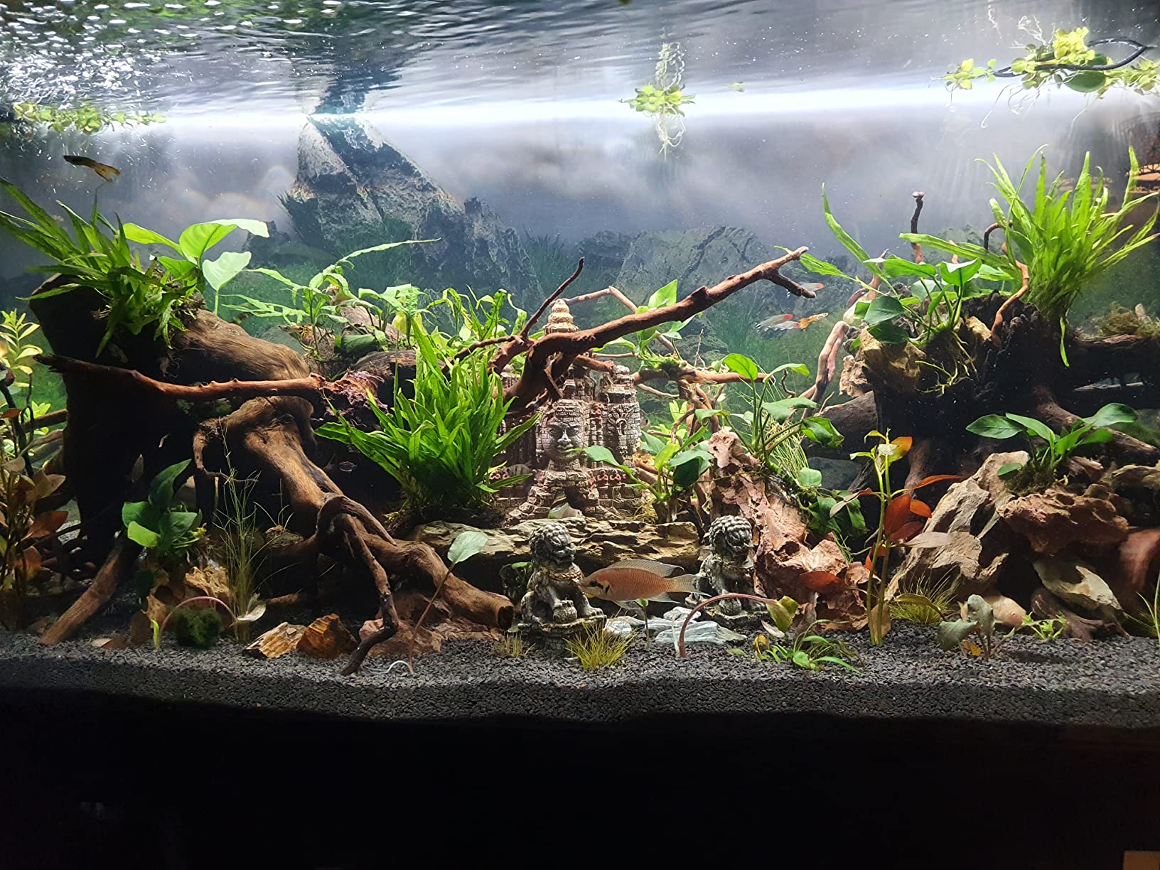 【Pet】AQUARIUM WITH LID & STAND / CABINET Professional Fish Tank - Real Original Guardian Glass