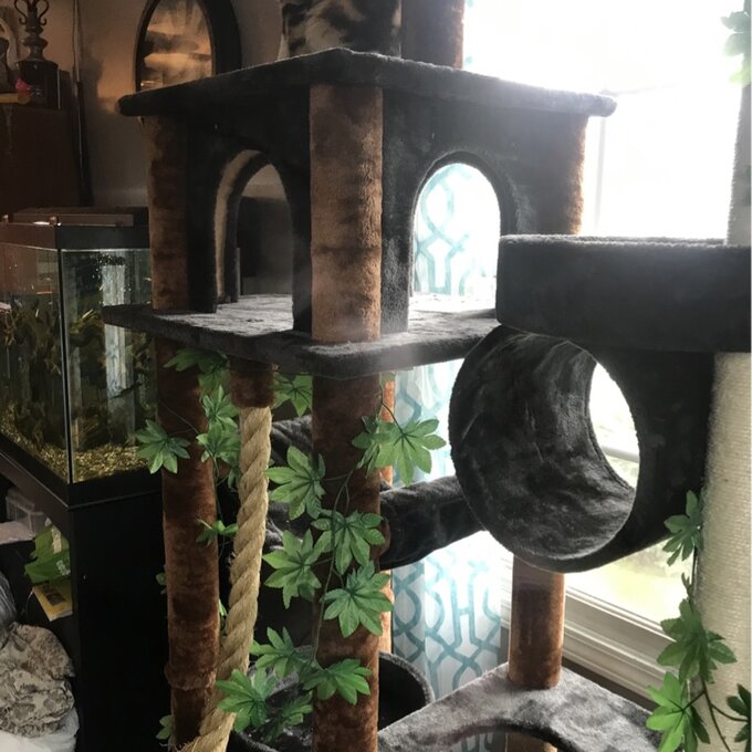 【Pet】70 High Cat Tree