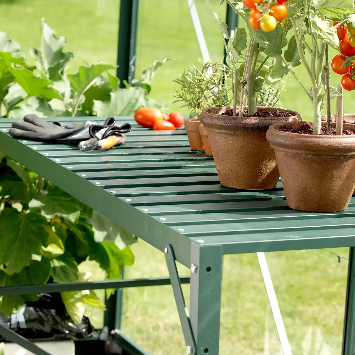 Vitavia Washington 5000 6ft 2 x 8ft 2 Greenhouse Set