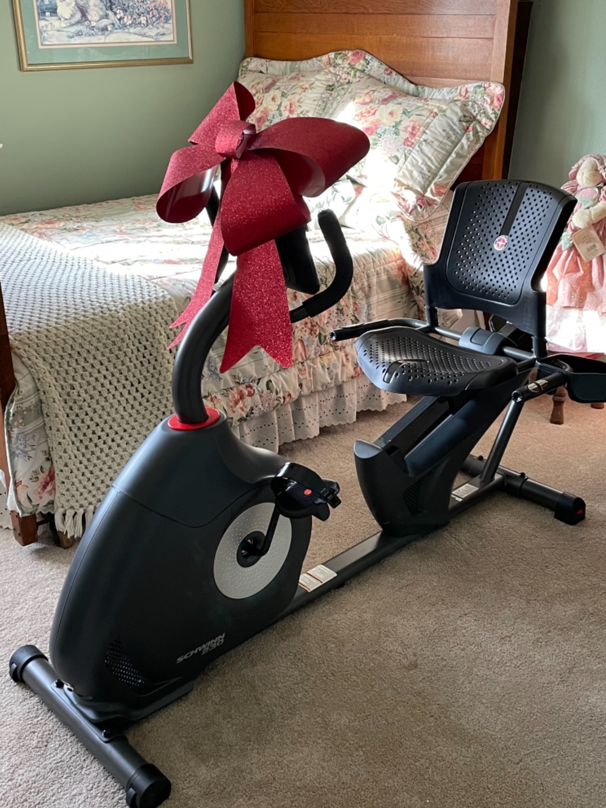 【Sports&Outdoors】Schwinn Recumbent Bike Series