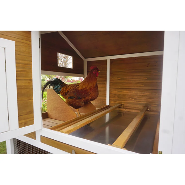 【Home&Garden】【BS】Shanae Walk In Chicken Coop with Chicken Run For Up To 8 Chickens