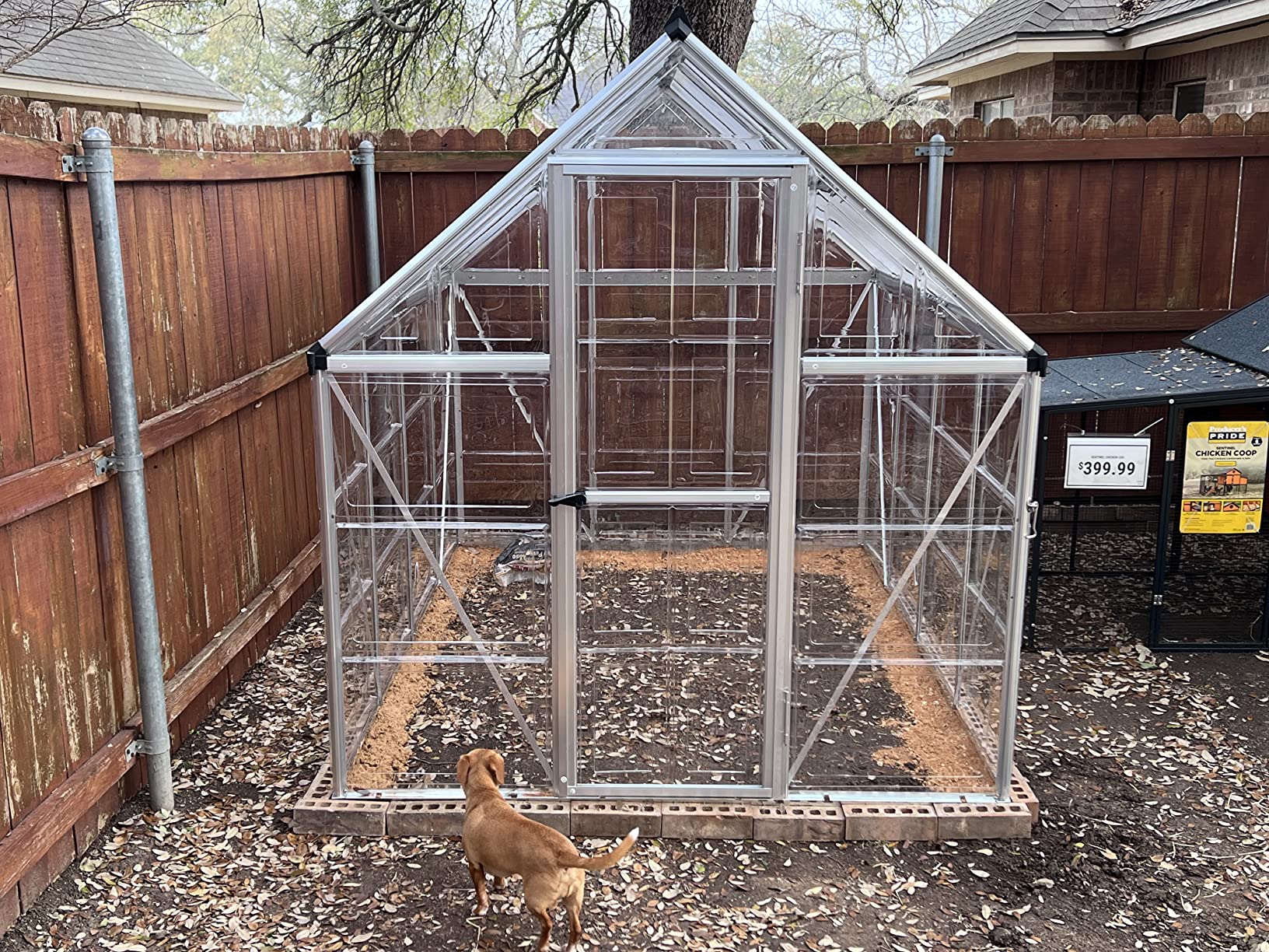 【Home&Garden】6x8 FT Hybrid Polycarbonate Greenhouse 2 Vent Window with Lockable Hinged Door