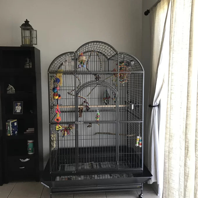 【Pet】Backes 78.25'' Steel Victorian Top Floor Bird Cage with Wheels