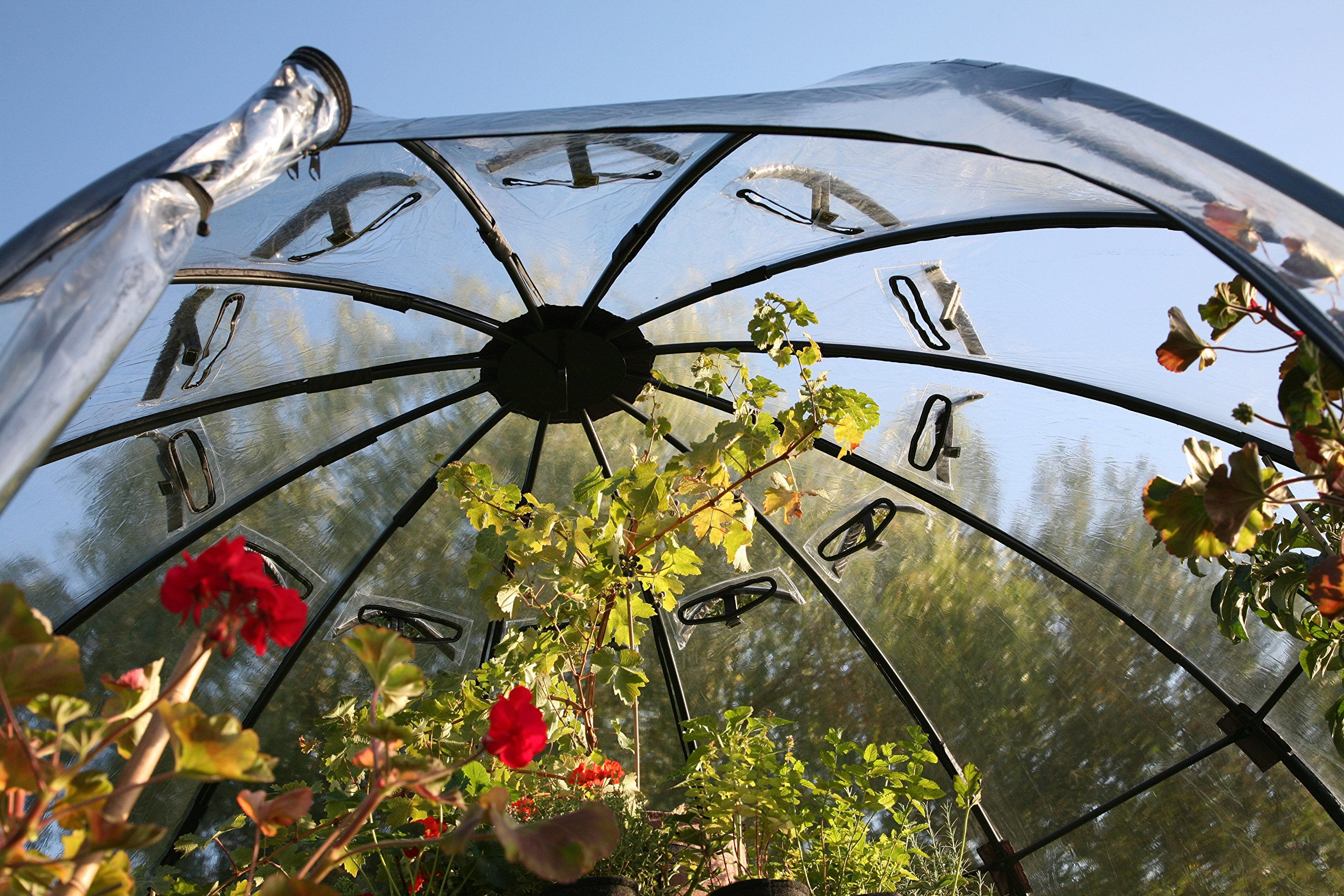 【Home&Garden】Haxnicks Garden Sunbubble Portable Outdoor Greenhouse, Garden Bed Cover & Igloo, Large