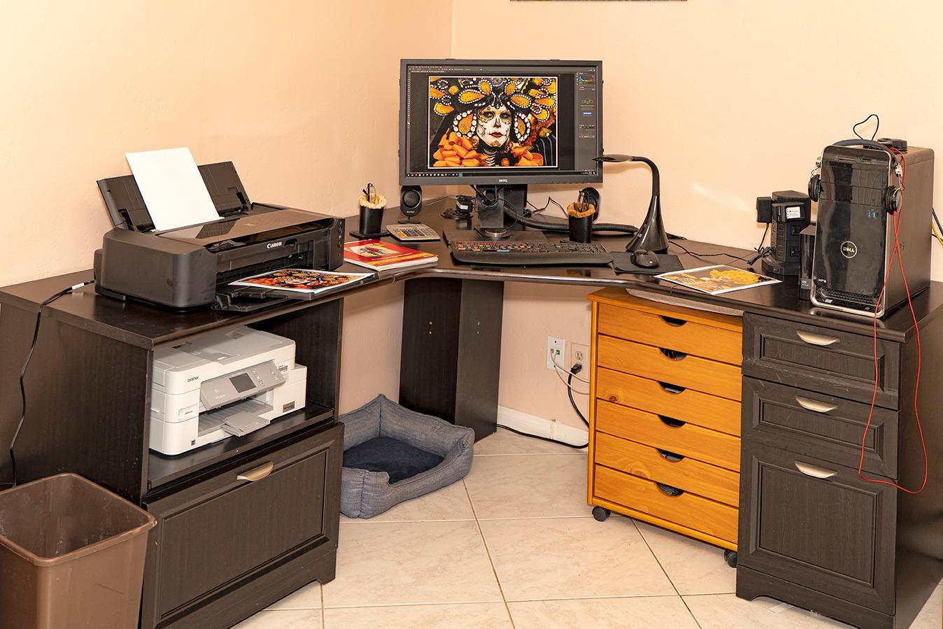 【Electronics】Canon IP8720 Wireless Printer, AirPrint and Cloud Compatible, Black