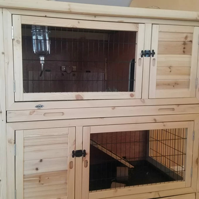 【Pet】Gatsby Weather Resistant Hutch with Ramp