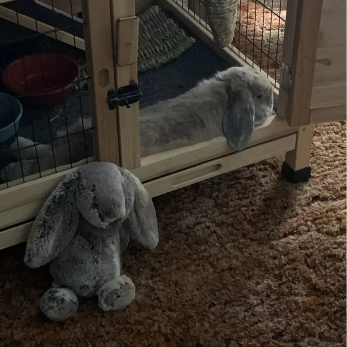 【Pet】Gatsby Weather Resistant Hutch with Ramp