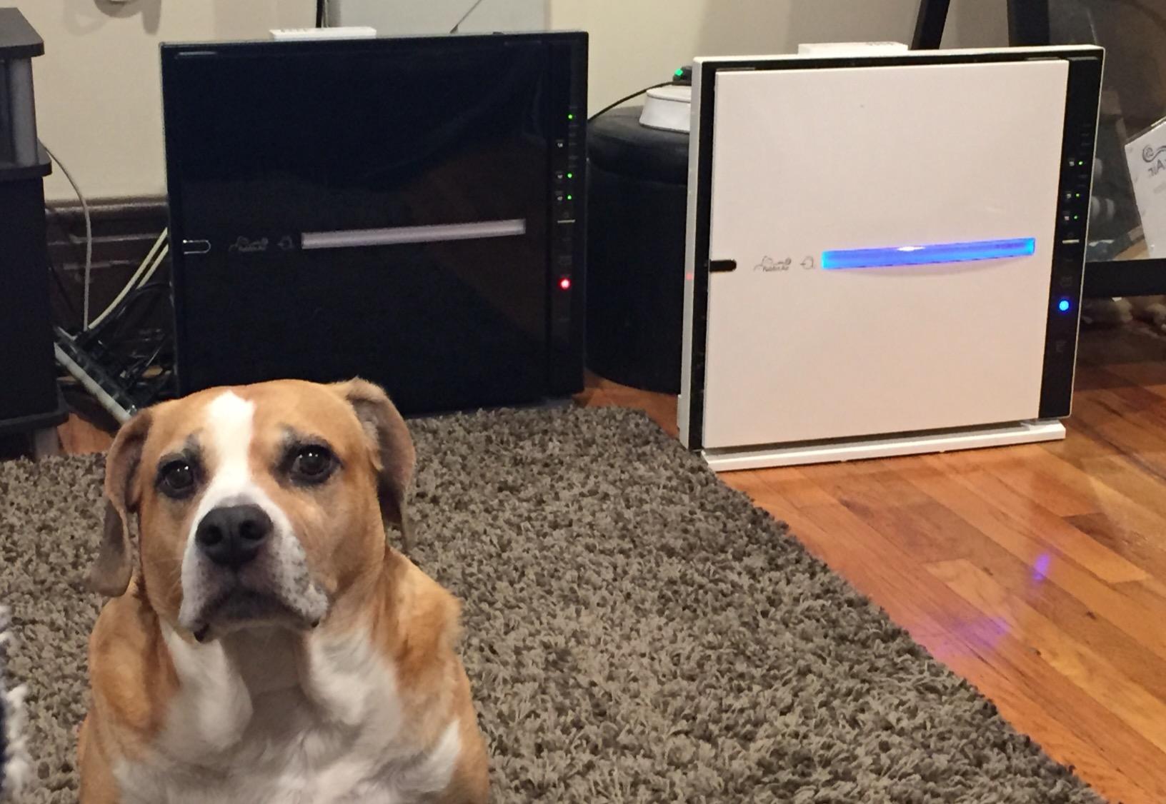 【Appliances】RabbitAir MinusA2 Ultra Quiet HEPA Air Purifier - Stylish, Efficient and Energy Star