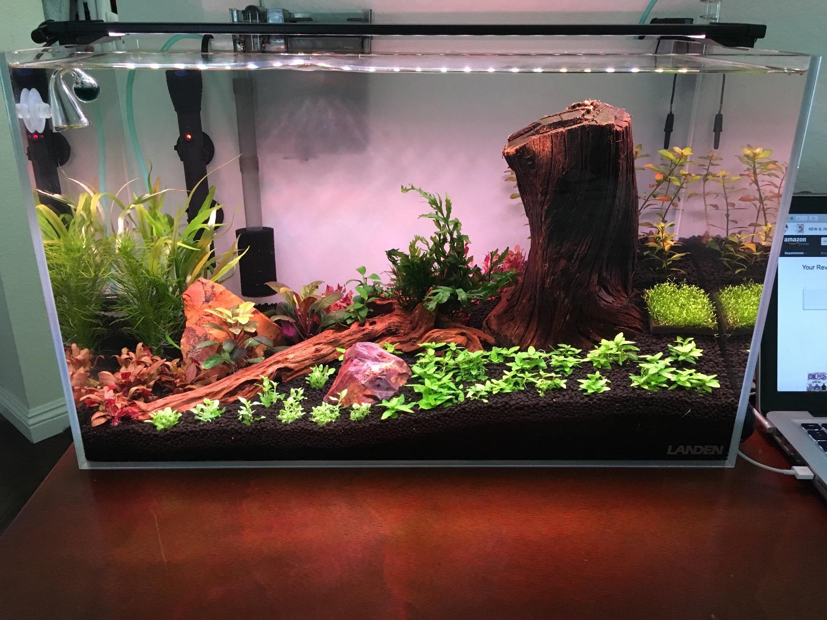 【Pet】120P 72.2 Gallon Rimless Low Iron Aquarium Tank, 47.2