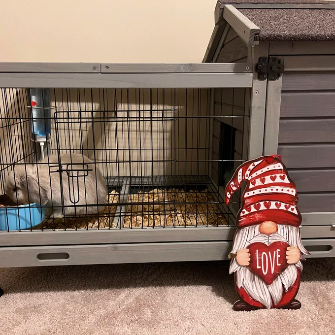 【Pet】Robinette Small Animal