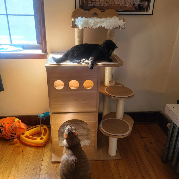 【Pet】47 Wooden Luxury Cat Tree