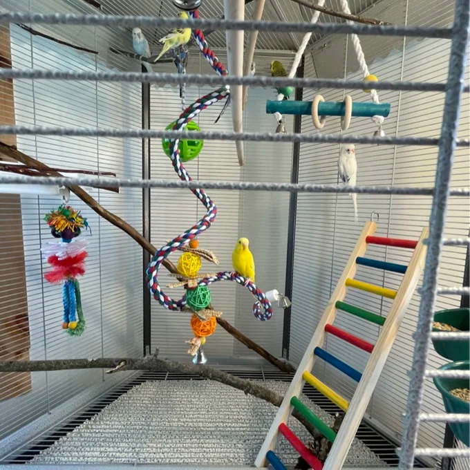 【Pet】Franconia 79'' Iron Pointed Top Flight Cage with Wheels