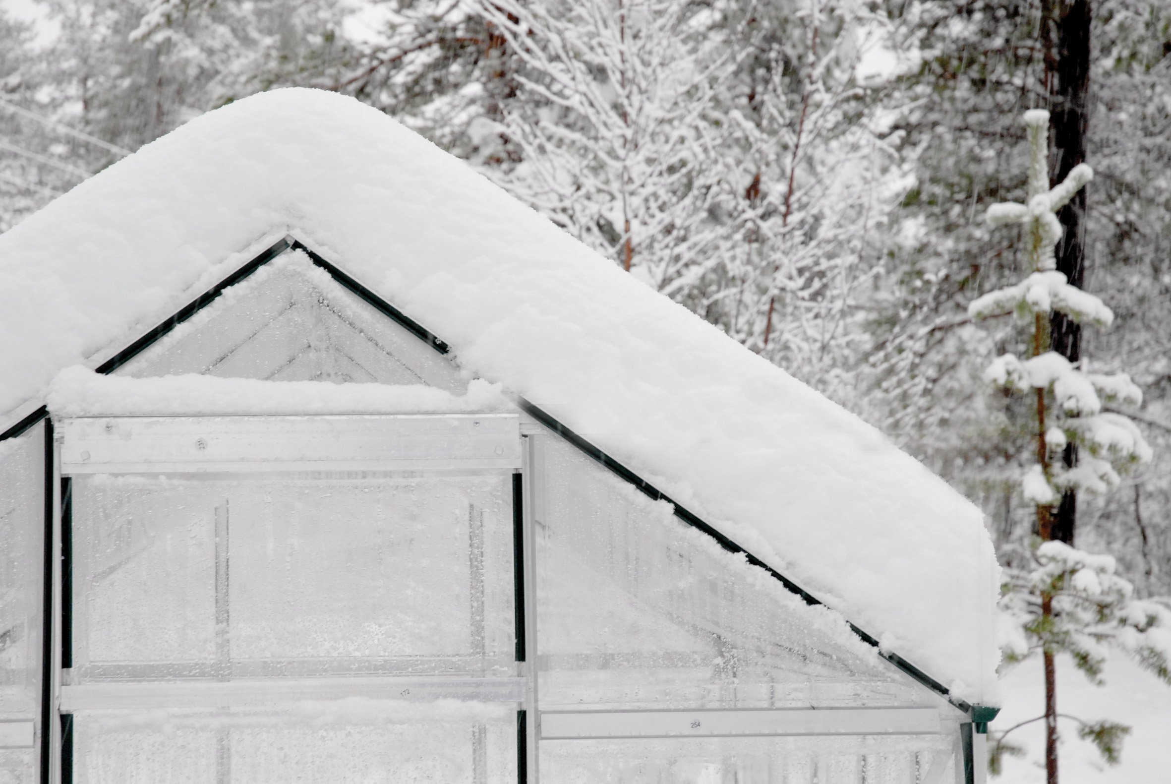 【Home&Garden】【BS】Canopia Hybrid 6' x 8' Greenhouse - Forest Green