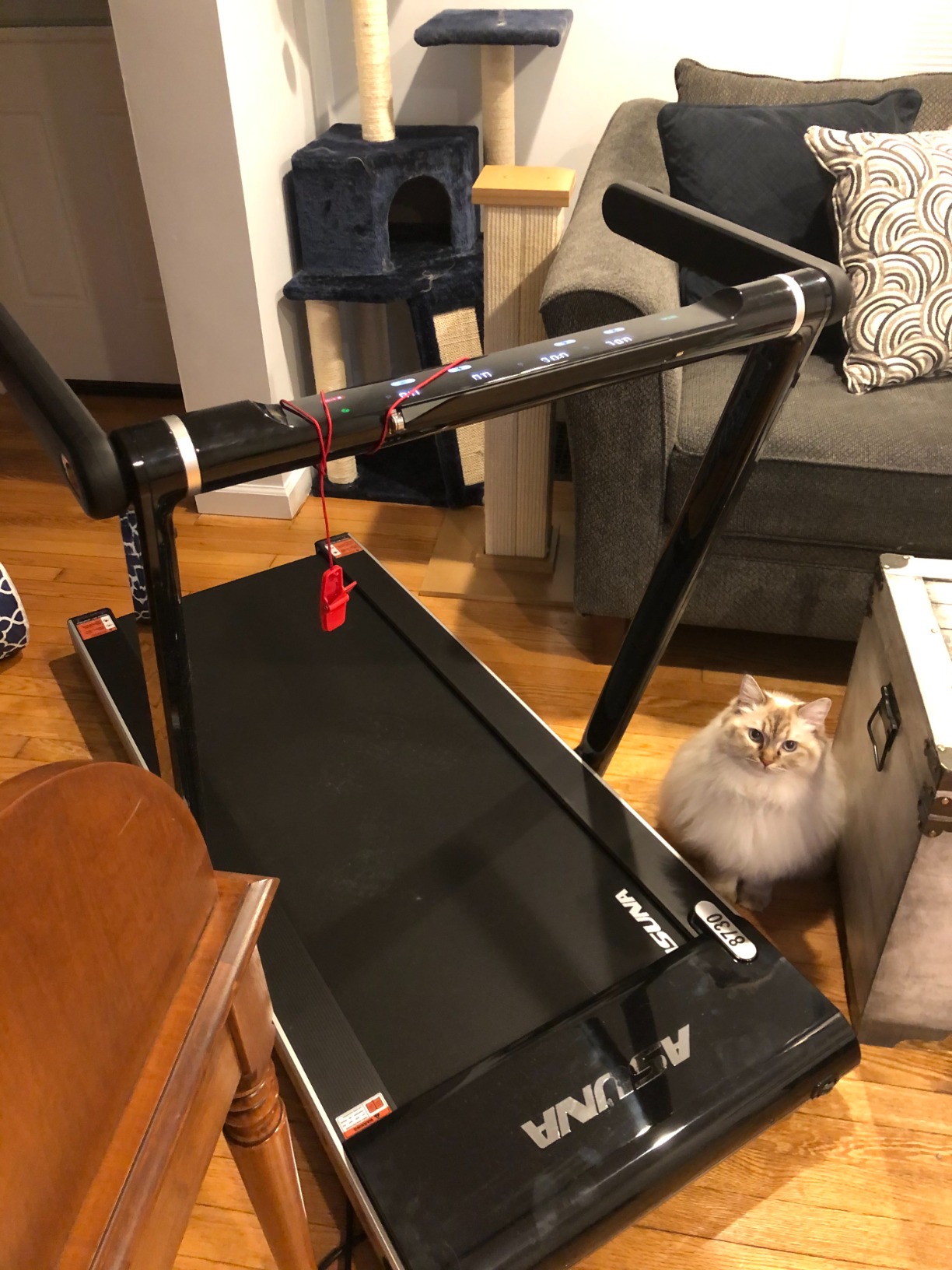 【Sports&Outdoors】ASUNA Premium Slim Folding Treadmill Running Machine with Speakers for Home Gyms