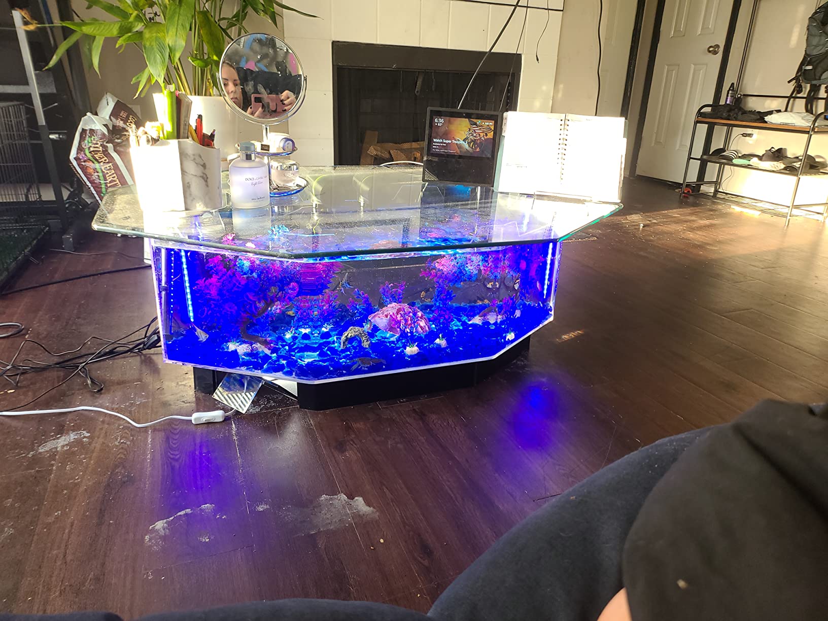 【Pet】28 Gallon AquaTable Aquarium Octagon