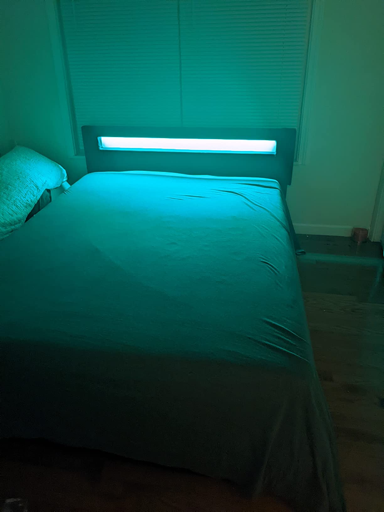 【Furniture】Pezzolla LED Bed Frame King Size - Contemporary Modern Low Profile Platform Bed with 16 Colors LED