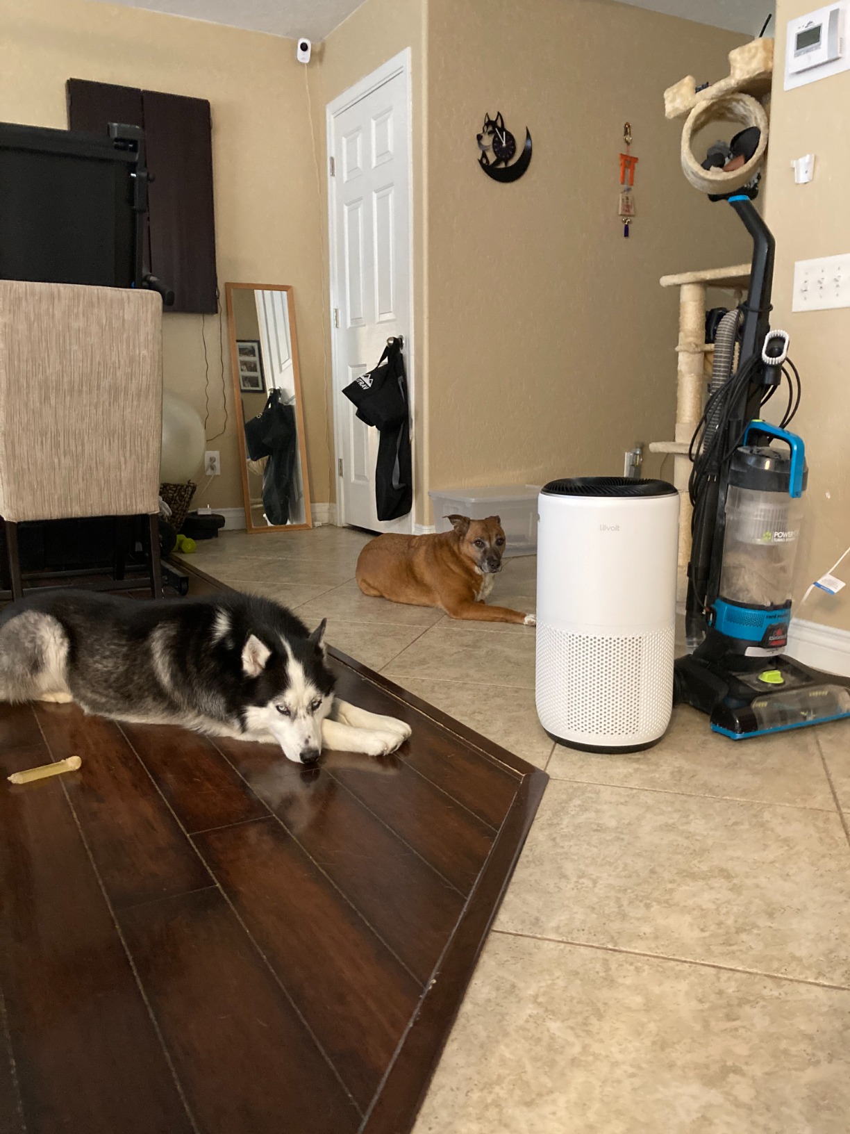 LEVOIT Air Purifiers, Smart WiFi & PM2.5 Monitor H13 True HEPA Filter Removes Up to 99.97% of Particles