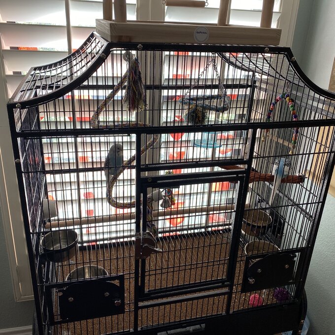 【Pet】Elinor 55'' Iron Victorian Top Floor Bird Cage with Wheels