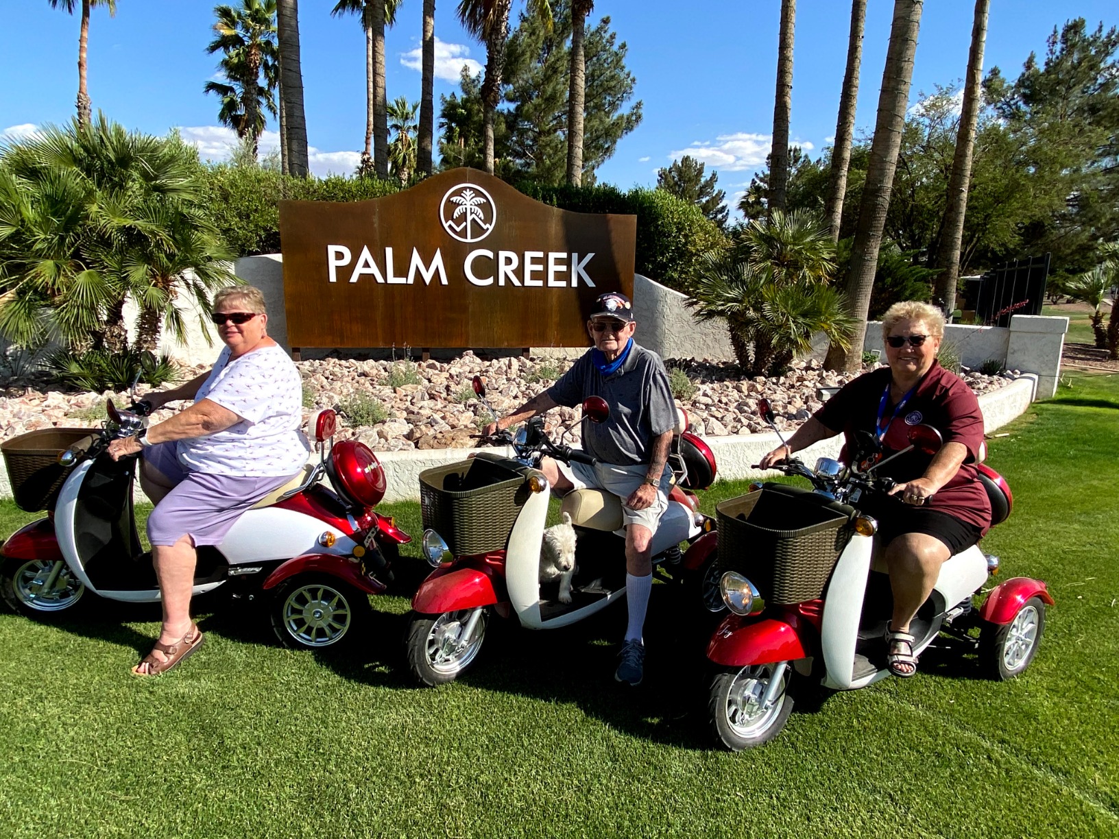 【Sports&Outdoors】EWheels EW-11 Sports Mobility Recreational Euro Type Scooter 3 Wheels