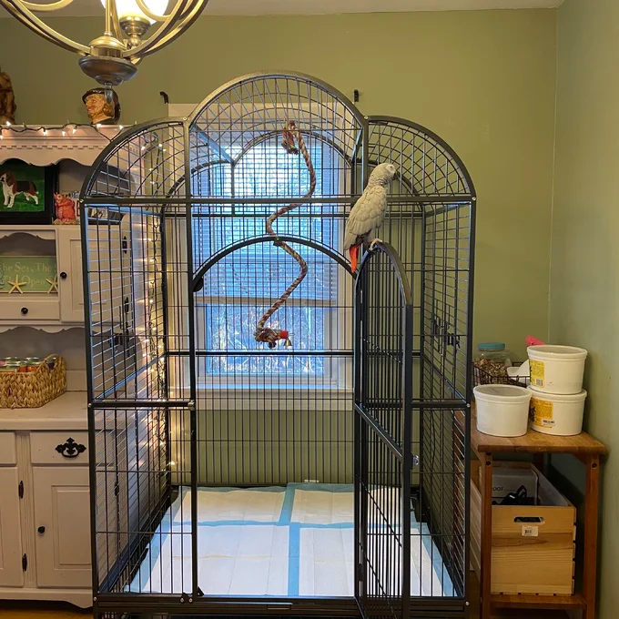 【Pet】Backes 78.25'' Steel Victorian Top Floor Bird Cage with Wheels
