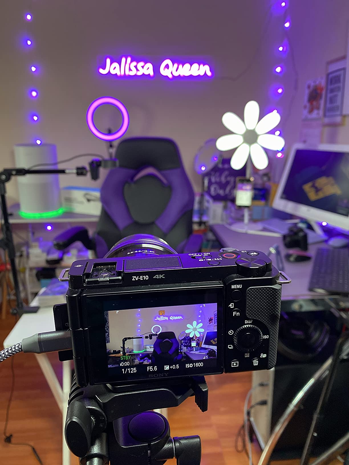 Sony Alpha ZV-E10 APS-C Mirrorless Interchangeable Lens Vlog Camera + Content Creator kit 