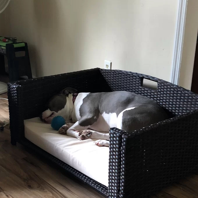 【Pet】Cristobal Rattan Rectangular Dog Sofa