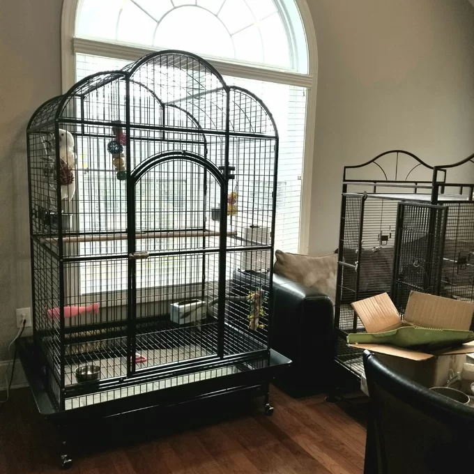 【Pet】Backes 78.25'' Steel Victorian Top Floor Bird Cage with Wheels