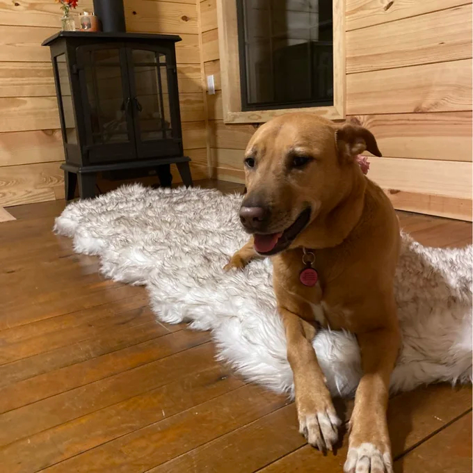 【Pet】Pretor Puprug Runner Faux Fur Memory Foam Dog Curve Mat