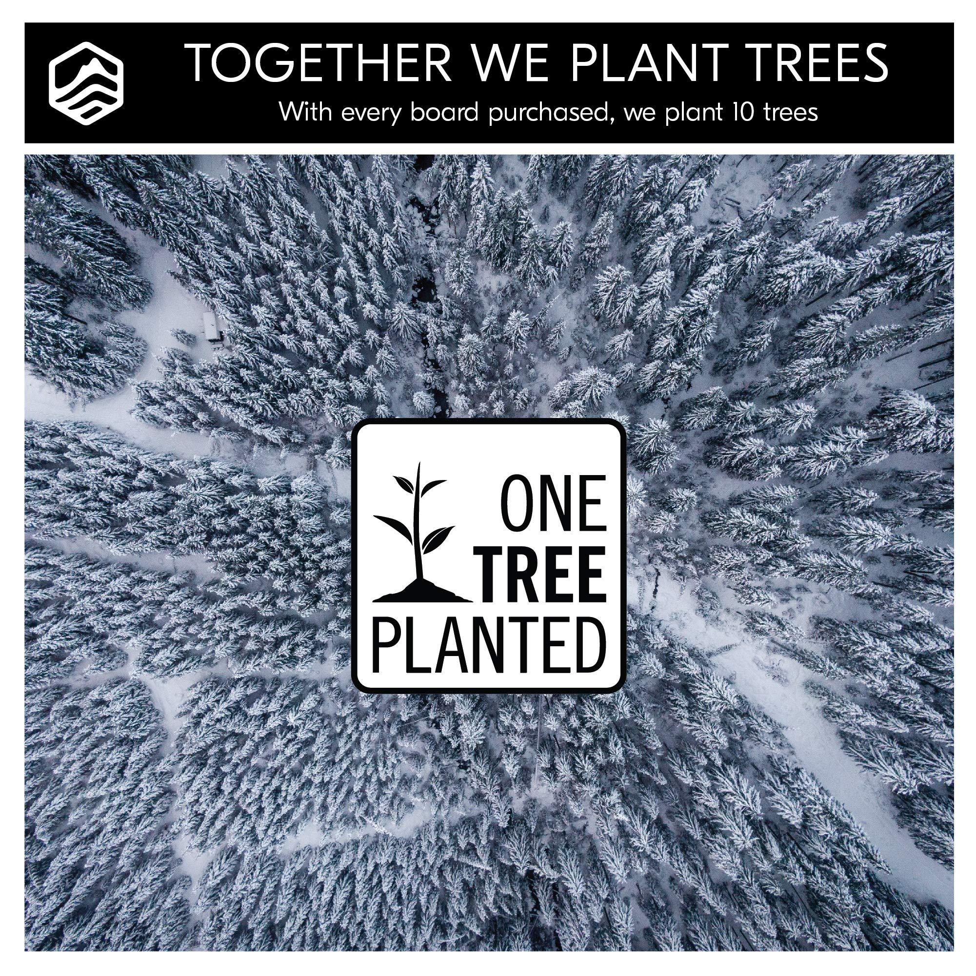 【Sports&Outdoors】Cabin Mountain Tools Northern Light Snowboard All Mountain Splitboard