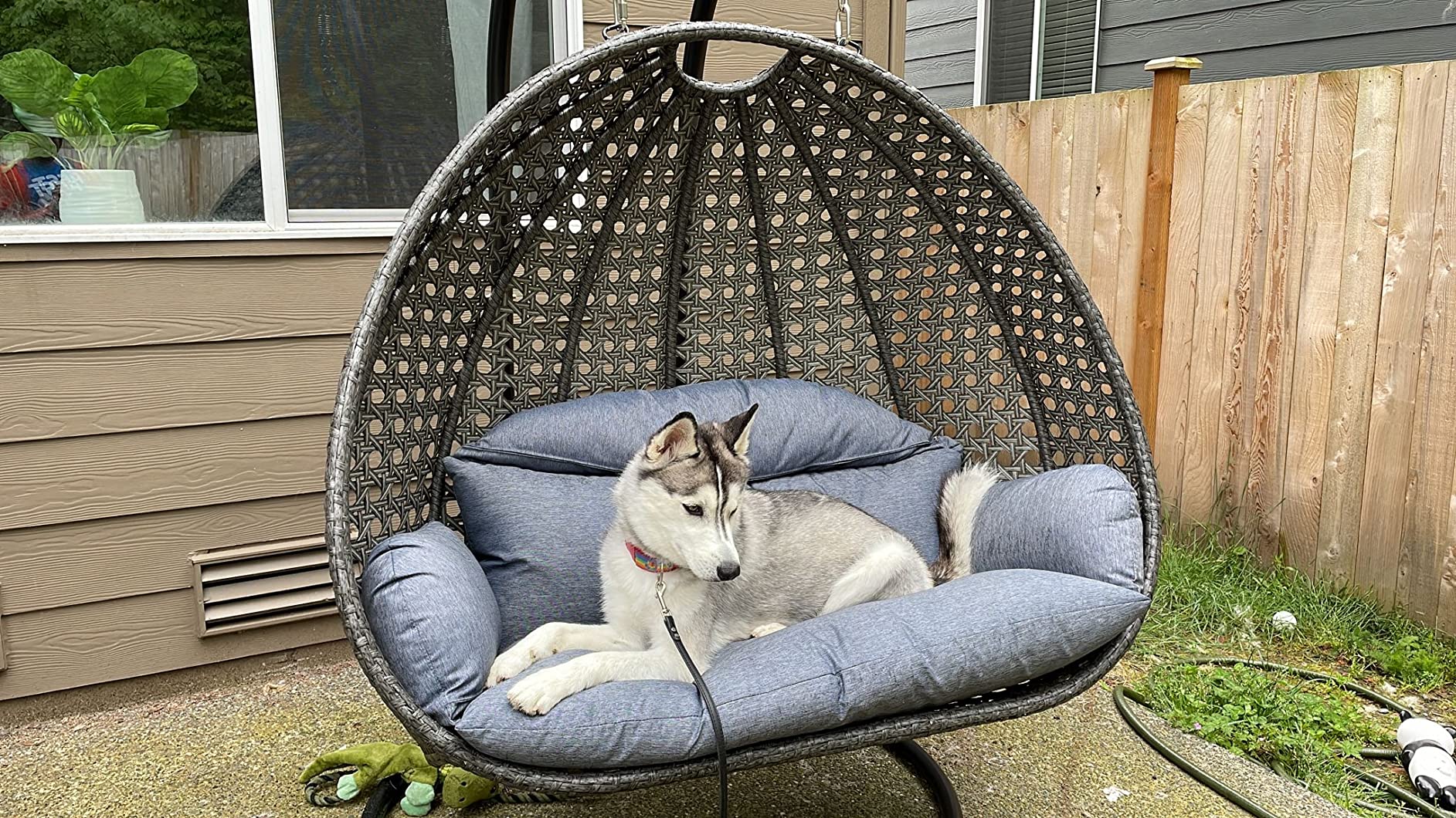 【Furniture】2 Person Hanging Double Swing Chair, X-Large Wicker Rattan Egg Chair with Stand and Cushion