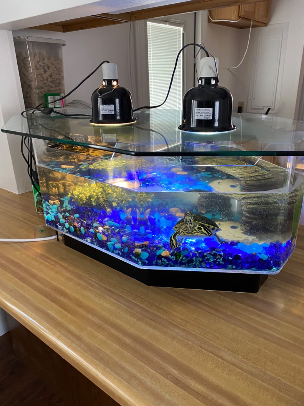 【Pet】28 Gallon AquaTable Aquarium Octagon